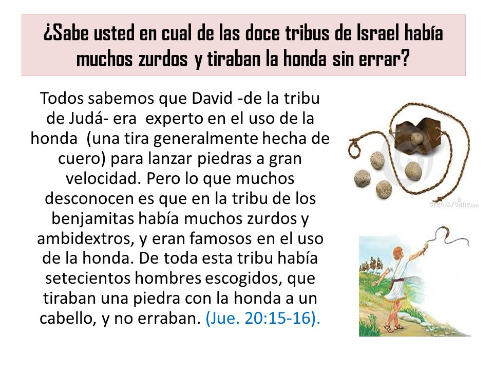 Como sanar a la mujer la alopecia